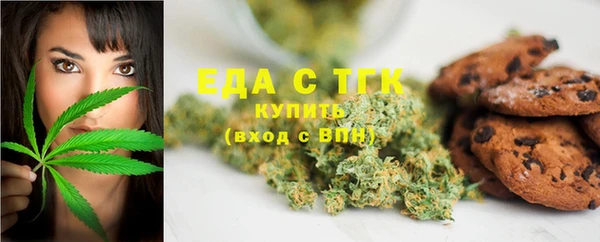 прущие грибы Тобольск