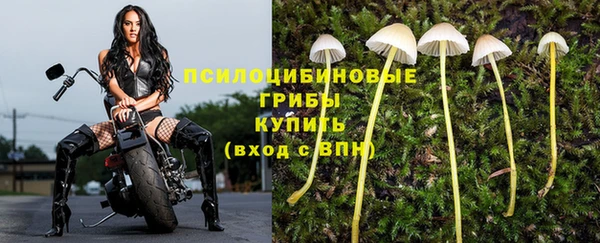 бутират Пересвет