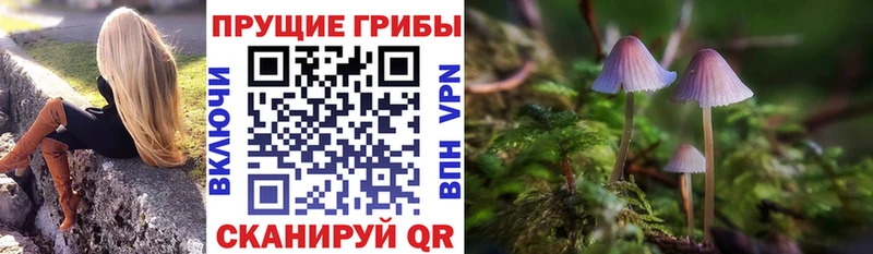 наркошоп  Новодвинск  Псилоцибиновые грибы прущие грибы 